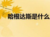 哈根达斯是什么意思（哈根达斯是什么）