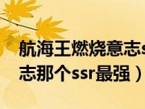 航海王燃烧意志ssr最强辅助（航海王燃烧意志那个ssr最强）