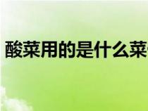 酸菜用的是什么菜做的（酸菜用的是什么菜）