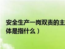 安全生产一岗双责的主要含义是什么（安全生产一岗双责具体是指什么）