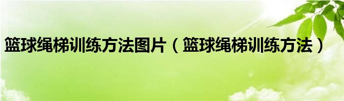 篮球绳梯训练方法图片（篮球绳梯训练方法）