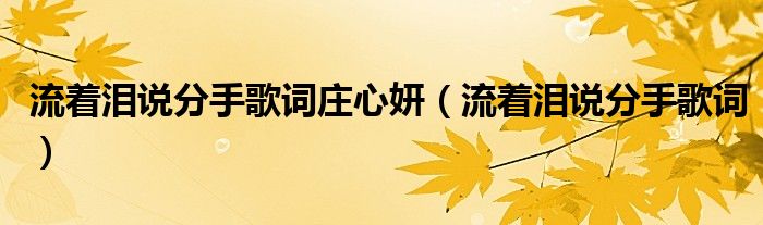 流着泪说分手歌词庄心妍（流着泪说分手歌词）