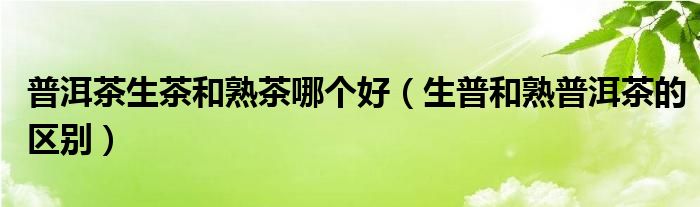 普洱茶生茶和熟茶哪个好（生普和熟普洱茶的区别）
