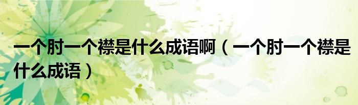 一个肘一个襟是什么成语啊（一个肘一个襟是什么成语）