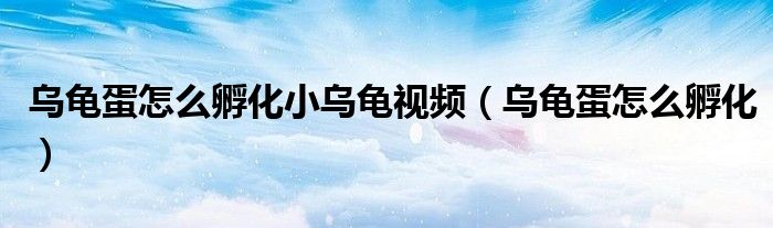乌龟蛋怎么孵化小乌龟视频（乌龟蛋怎么孵化）