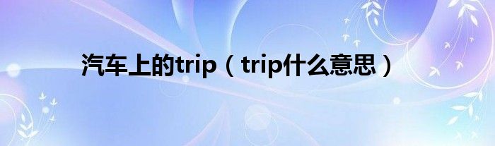 汽车上的trip（trip什么意思）