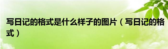 写日记的格式是什么样子的图片（写日记的格式）