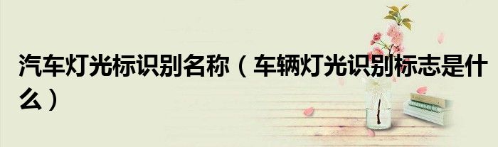 汽车灯光标识别名称（车辆灯光识别标志是什么）