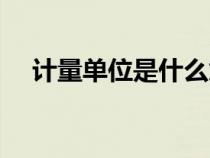 计量单位是什么意思（计数单位是什么）