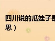 四川说的瓜娃子是什么意思（瓜娃子是什么意思）