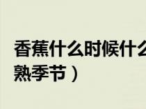 香蕉什么时候什么季节成熟（香蕉什么时候成熟季节）