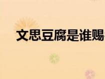 文思豆腐是谁赐名的（文思豆腐的由来）