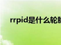 rrpid是什么轮胎（rydanz是什么轮胎）