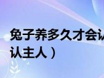 兔子养多久才会认主人咬人（兔子养多久才会认主人）
