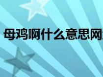 母鸡啊什么意思网络用词（母鸡啊什么意思）
