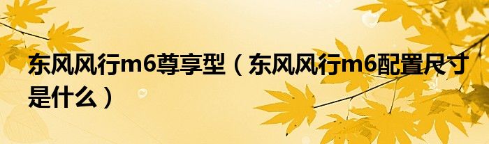 东风风行m6尊享型（东风风行m6配置尺寸是什么）