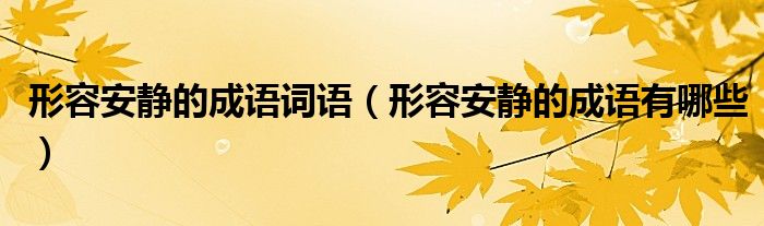形容安静的成语词语（形容安静的成语有哪些）