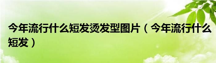今年流行什么短发烫发型图片（今年流行什么短发）
