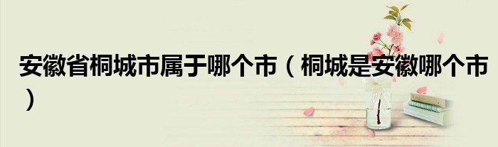 安徽省桐城市属于哪个市（桐城是安徽哪个市）