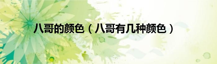 八哥的颜色（八哥有几种颜色）
