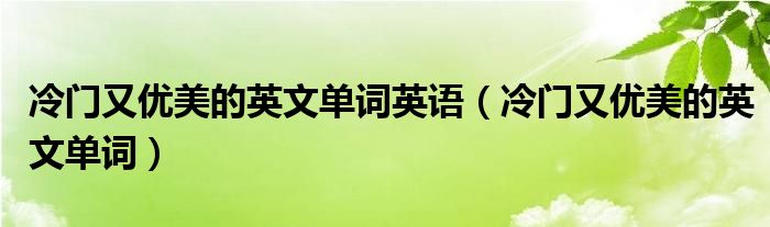 冷门又优美的英文单词英语（冷门又优美的英文单词）