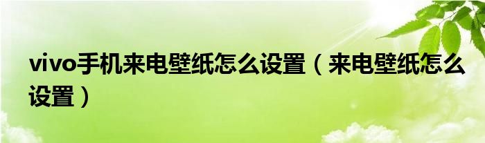 vivo手机来电壁纸怎么设置（来电壁纸怎么设置）