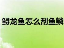 鲟龙鱼怎么刮鱼鳞视频（鲟龙鱼怎么刮鱼鳞）
