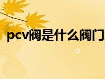 pcv阀是什么阀门五菱（pcv阀是什么阀门）