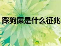 踩狗屎是什么征兆左脚（踩狗屎是什么征兆）