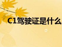 C1驾驶证是什么车型（C1驾驶证是什么）