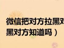 微信把对方拉黑对方还有我吗（微信把对方拉黑对方知道吗）