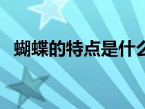 蝴蝶的特点是什么呀（蝴蝶的特点是什么）
