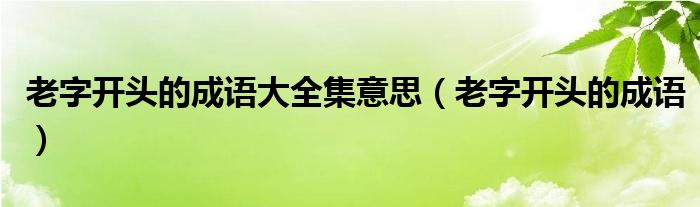 老字开头的成语大全集意思（老字开头的成语）