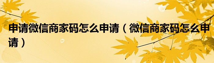 申请微信商家码怎么申请（微信商家码怎么申请）
