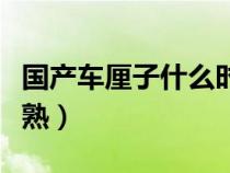 国产车厘子什么时候成熟（车厘子什么时候成熟）