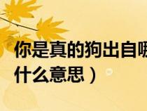 你是真的狗出自哪里（网络用语你是真的狗是什么意思）