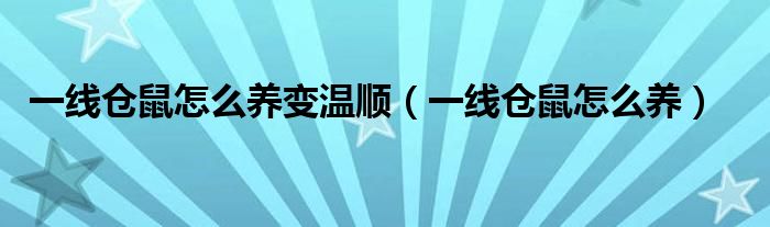 一线仓鼠怎么养变温顺（一线仓鼠怎么养）
