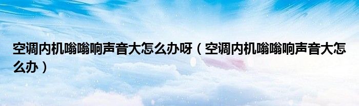 空调内机嗡嗡响声音大怎么办呀（空调内机嗡嗡响声音大怎么办）
