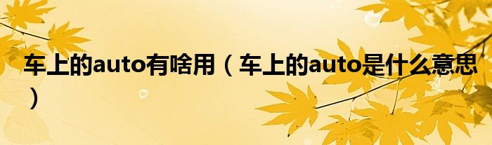 车上的auto有啥用（车上的auto是什么意思）