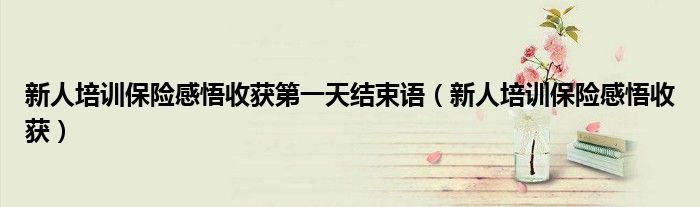新人培训保险感悟收获第一天结束语（新人培训保险感悟收获）