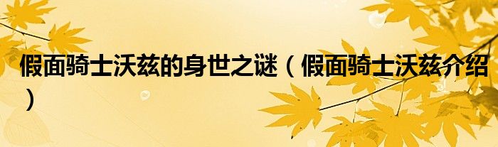 假面骑士沃兹的身世之谜（假面骑士沃兹介绍）