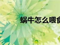 蜗牛怎么喂食物（蜗牛喂食方法）