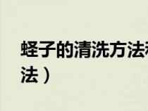 蛏子的清洗方法和做法 海边（蛏子的清洗方法）