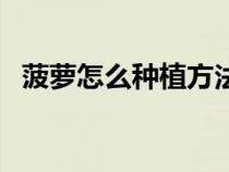 菠萝怎么种植方法菠（菠萝怎么种植方法）