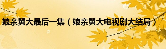 娘亲舅大最后一集（娘亲舅大电视剧大结局）