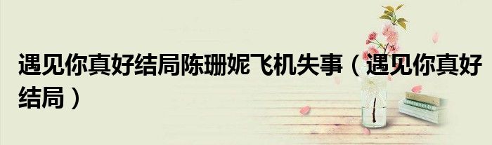 遇见你真好结局陈珊妮飞机失事（遇见你真好结局）