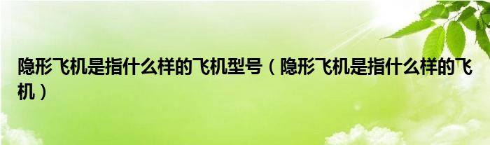 隐形飞机是指什么样的飞机型号（隐形飞机是指什么样的飞机）