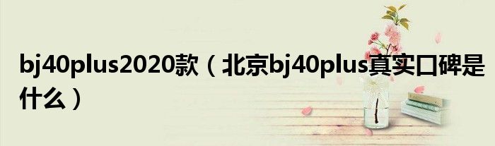 bj40plus2020款（北京bj40plus真实口碑是什么）