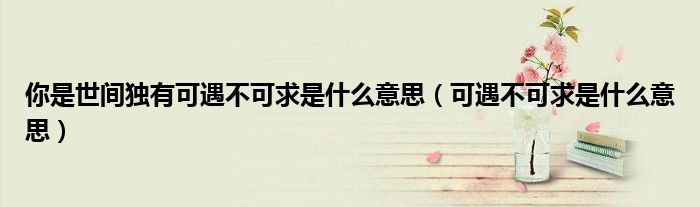 你是世间独有可遇不可求是什么意思（可遇不可求是什么意思）