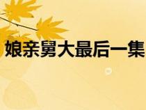 娘亲舅大最后一集（娘亲舅大电视剧大结局）